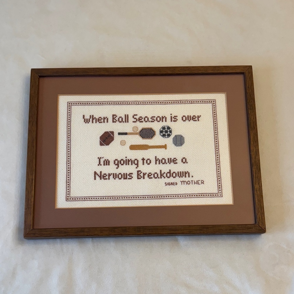 Adorable Framed Sports Quote Cross-Stitch Wall Art